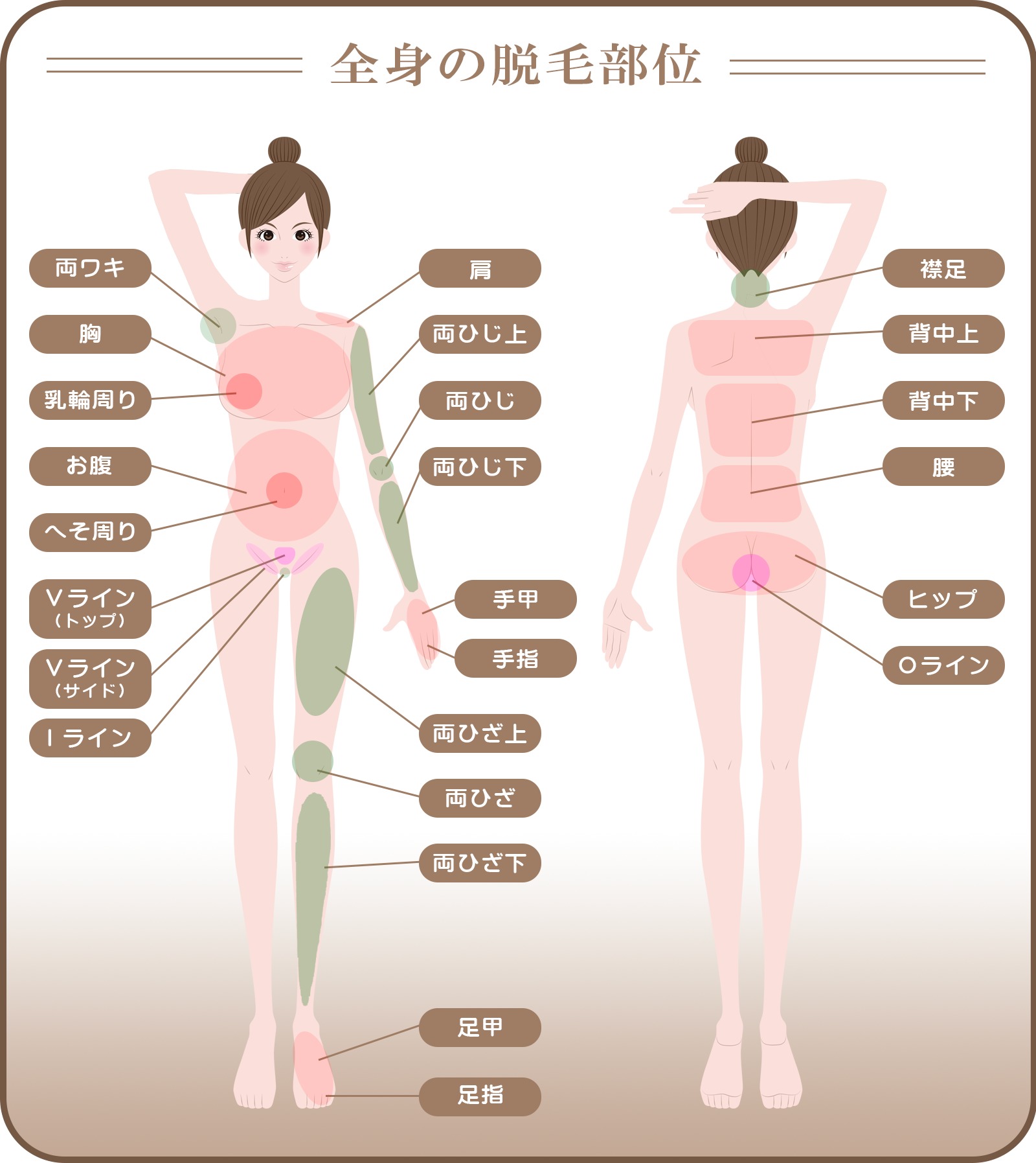 脱毛部位　全身