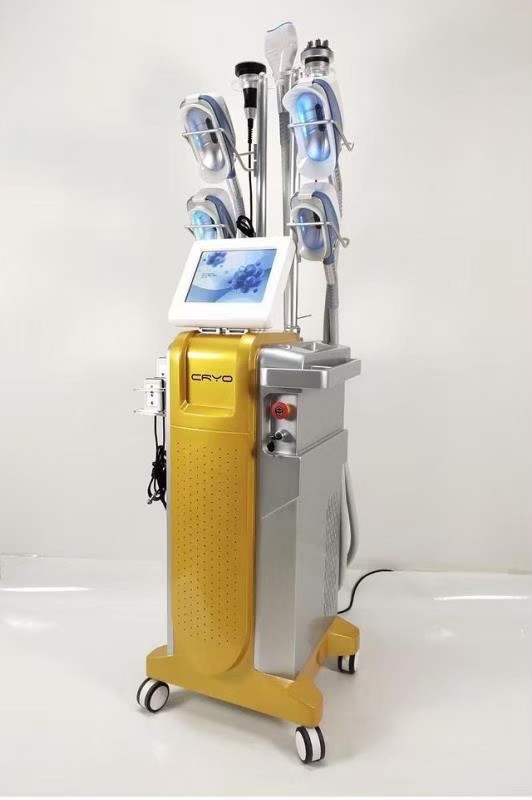 多機能脂肪冷凍冷却