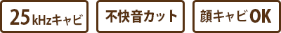ノイズカットパワーキャビ